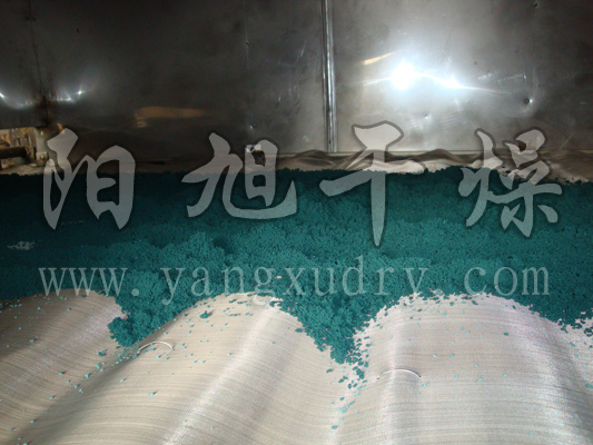 催化劑專(zhuān)用帶式干燥機(jī)